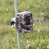 trail camera installed on the ground