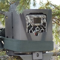 trail camera installed on the tree