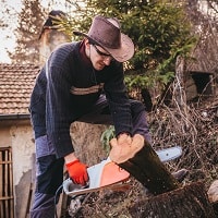 Cutting Wood With Electric Chainsaw