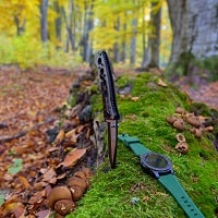 knife in the forest